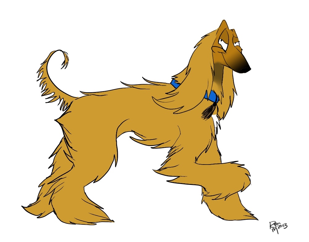 diggie the dignified rescue afghan hound works the puparazi in the upcoming rescues are super animated series celebrating pet adoption and rescue pets