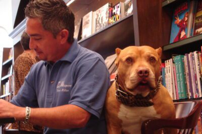 Well-trained Dogs Allowed in Barnes and Noble: Preparing Your Rescue to Shop