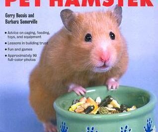 Rescue Hamsters Exercise & Training: Effective Routines & Advanced Tricks