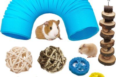 Hamster Enrichment: DIY Toys, Mazes, Obstacle Courses & Safe Untreated Wood