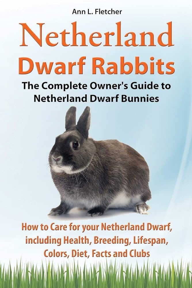 Netherland Dwarf rabbit complete care guide to Netherland dwarf bunnies