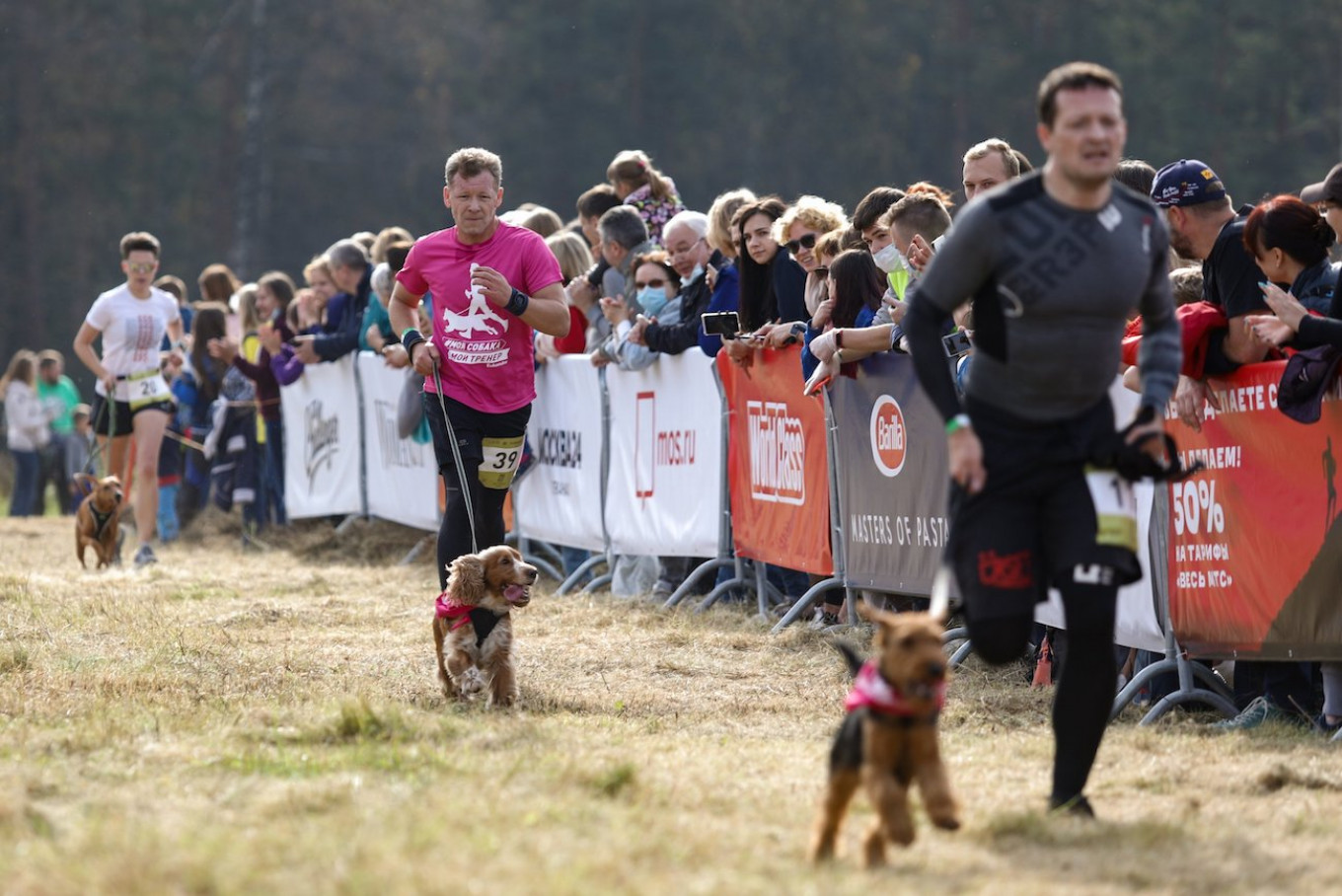 Train Your Dog for 5K Charity Run: Benefits, Fundraising Tips & Supporting Rescue Orgs