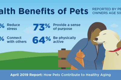 Benefits of Adopting a Pet: Proven Physical & Mental Health for You & Furry Friend