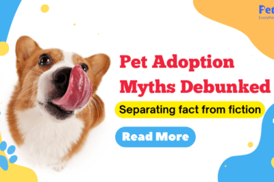 Pet Adoption Myths vs Facts: Truth About Behavior, Health, Breed Info