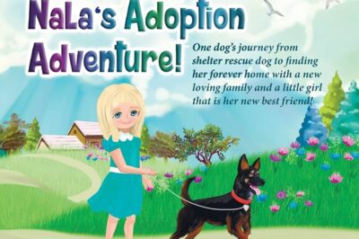 Rescue Pet Adoption Journey: Behind-the-Scenes Insights & Stories