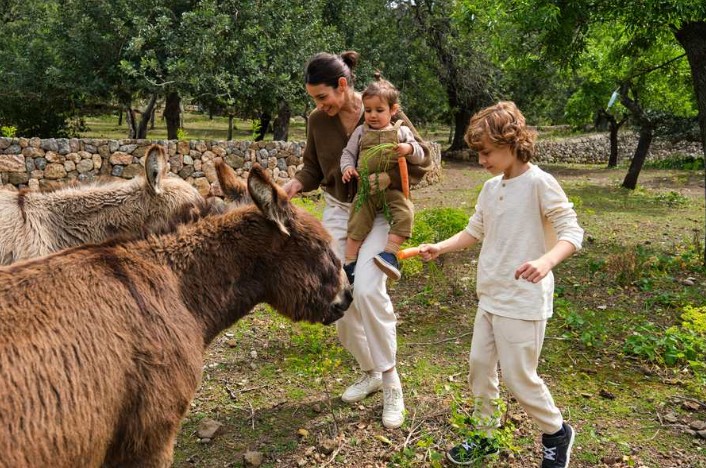 animal sanctuary vs zoo