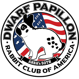 Dwarf Papillon Rabbit Adoption Guide: Size, Weight & Comparison to Giant Checkered Rabbits