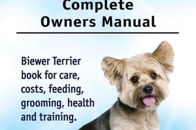 Biewer Terrier Dog Adoption: Cost, Rarity, Barking, Coloring, Yorkie Origins & Comparison