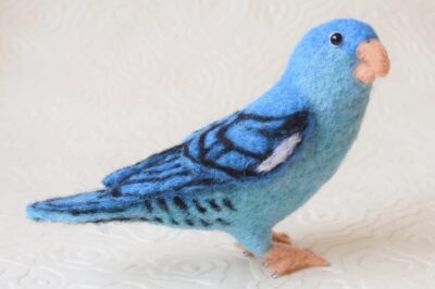 Lineolated Parakeet Adoption Guide: Personality, Compatibility, Bird Comparison & Care Tips