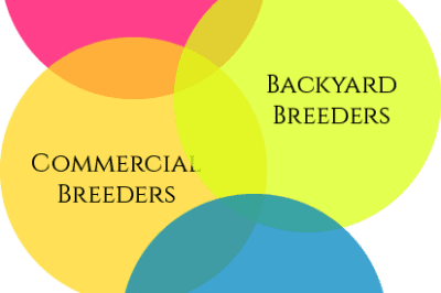 Identify Reputable Breed Rescue Groups & Breeders: Questions to Ask, Animal Conditions to Witness, Tests to Verify & References to Contact