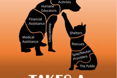 Save Homeless Animals & Find Forever Homes: How Animal Shelters, Rescue Groups & Breeders Work As A Team