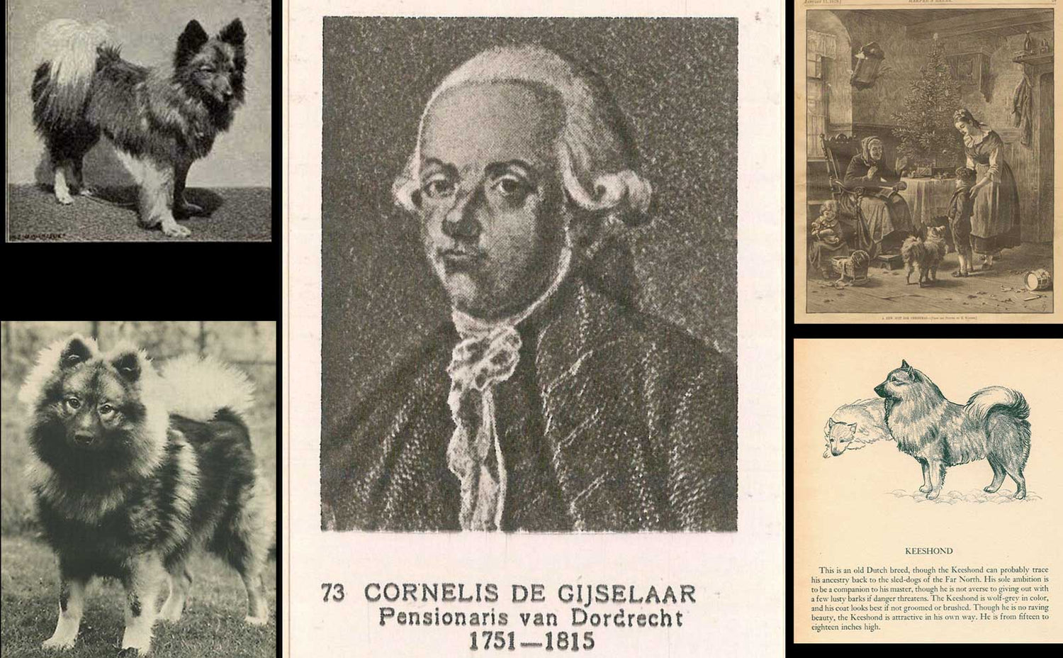 Keeshond history & Cornelis De Gijselaar