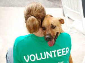 volunteer hug shelter rescue dog, why applicants are scrutinized by rescue vols