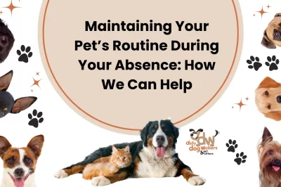 Pet Safety & Care Plan: Preparing Kit, Contacts, Info & Access in Case of Disaster, Hospitalization, Delays or Death