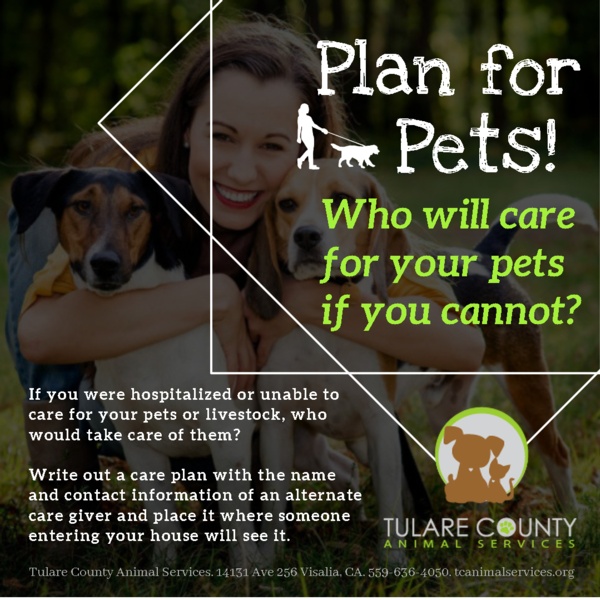 emergency plan for pets: who will care for them when you cannot