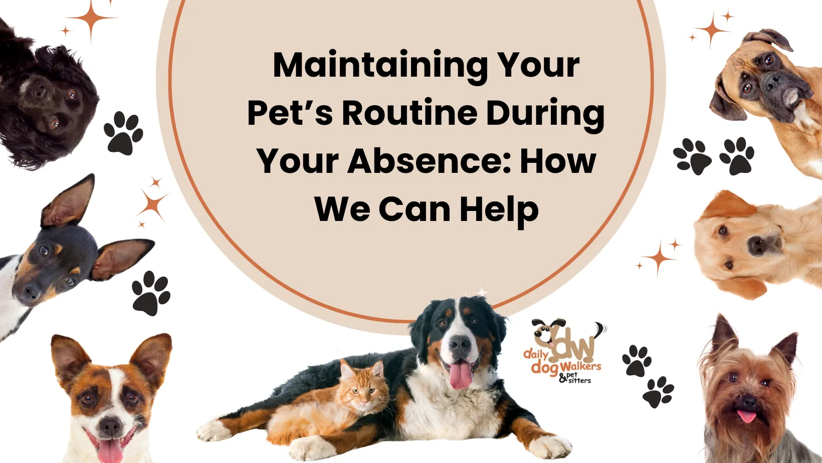 maintain pet routine in your absence