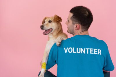 Why Fostering Animals Is Important & Saves Lives: Pros, Cons & Varying Care Requirements