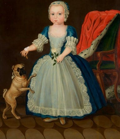 pug dog breed history & popularity in 16th century Europe