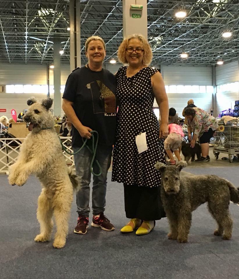 two pumi dogs at show with female owners