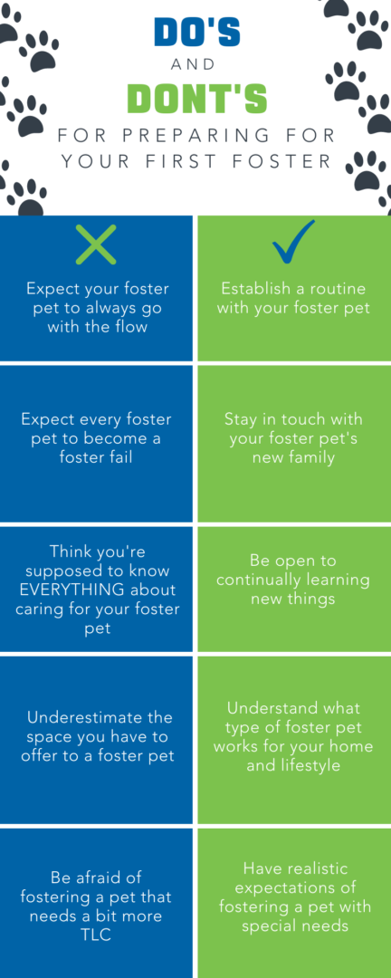 do's and don'ts of fostering