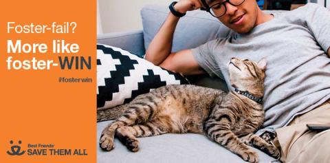 foster fail or win, man with cat looking at each other
