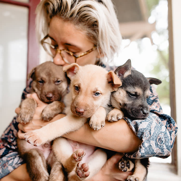 woman carrying a litter of puppies as example of fostering