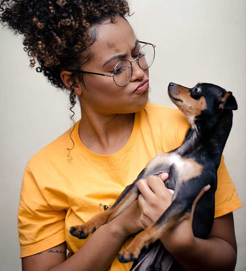 woman with mini pin or manchester terrier fostering