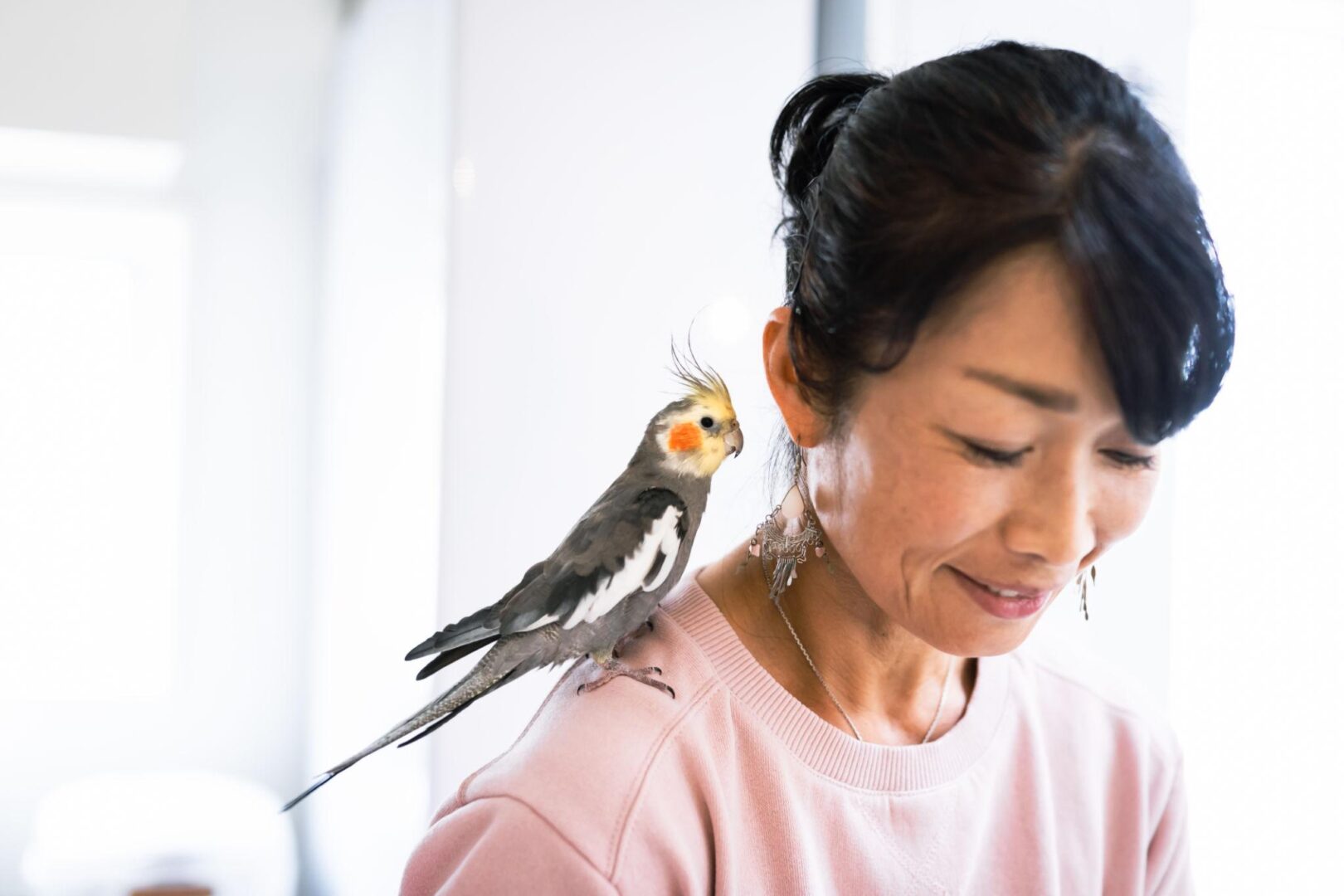 woman with cockatiel on shoulder, Rescue organizations increasingly prioritize realistic matching over appearance or trend appeal