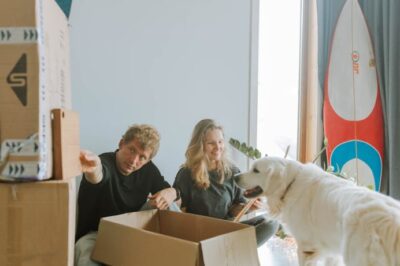What’s Missing from Pet-Friendly Apartments When Residents Want to Adopt A Pet?