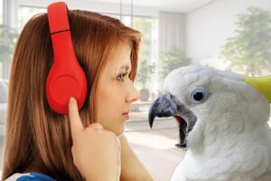 Behavioral challenges often emerge from mismatch rather than “bad” pets like having a vocal bird in a shared space that prefers quiet would be a mismatch