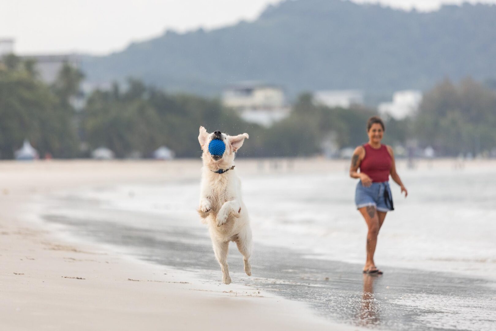 Lifestyle compatibility increasingly affects long-term pet wellness and adoption success like enjoying a day at the beach with an active water breed dog