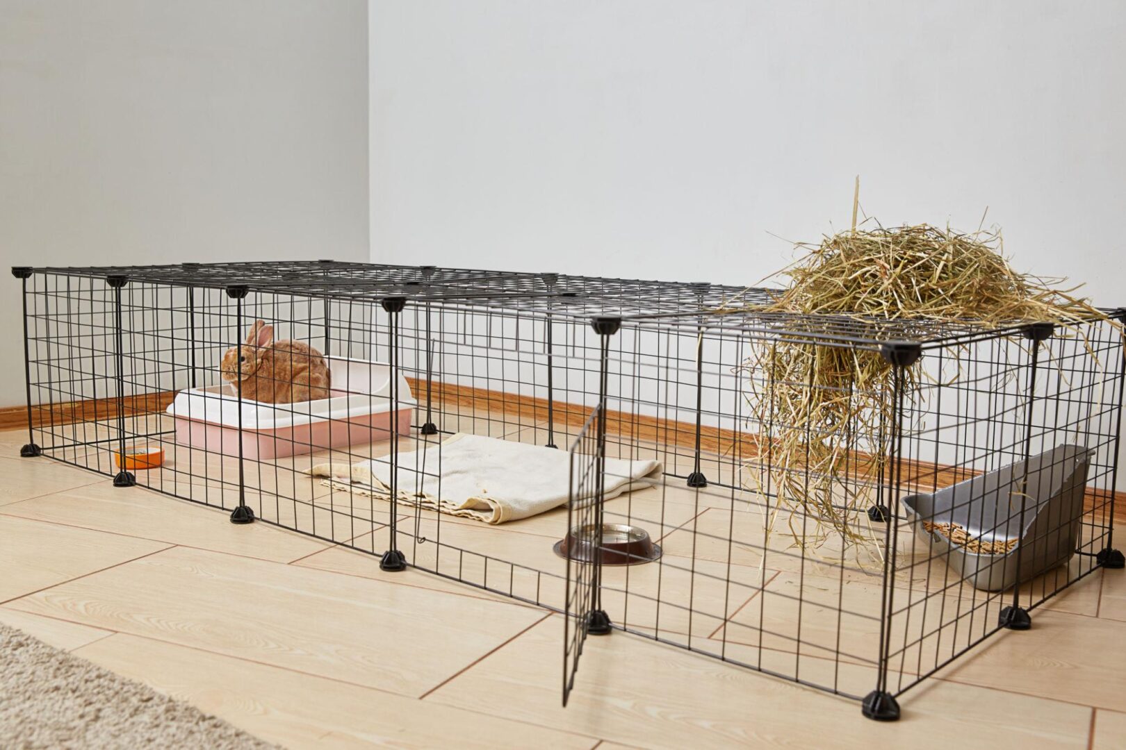 rabbits need minimum 32 square feet of living space plus 3-4 hours of daily free-roaming time, regardless of breed size, since exercise and mental stimulation are critical for rabbit health.