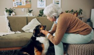 Why Pet Fostering Is Often Assumed Not to Work but fostering Pets Is Possible in Apartments, Condos, and Senior Living