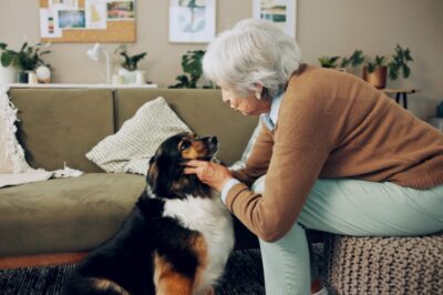 Can You Foster a Pet in an Apartment, Condo, or Senior Living Community?