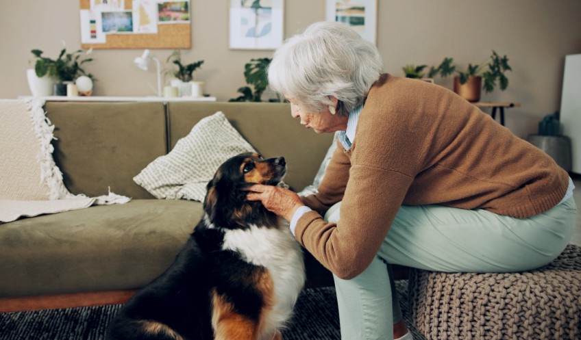 Why Pet Fostering Is Often Assumed Not to Work but fostering Pets Is Possible in Apartments, Condos, and Senior Living