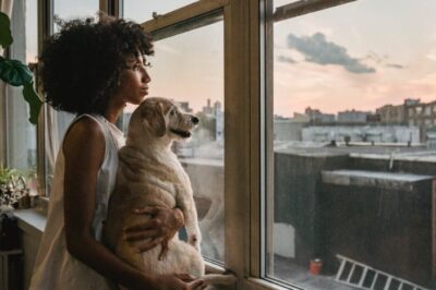 Do Pet Policies Increase Occupancy and Retention in Apartments?