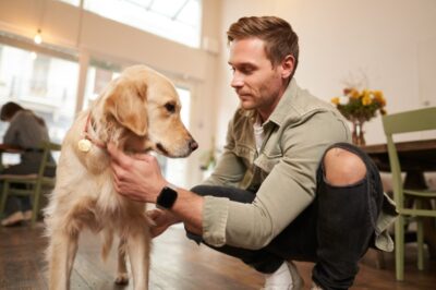 Why Do Some Pet-Friendly Businesses Get More Customers Than Others?