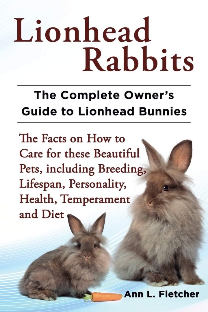 complete guide to lionhead rabbits
