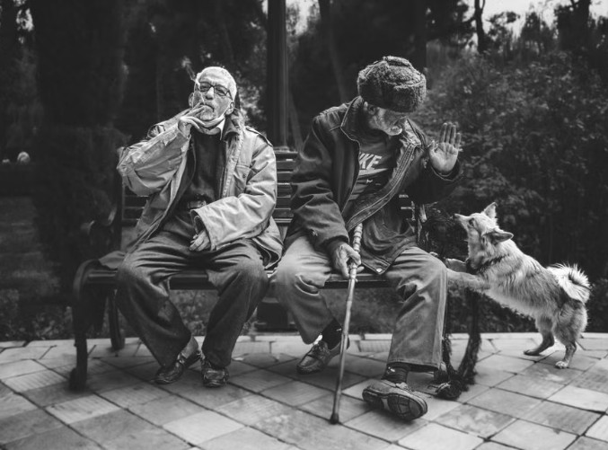 Two older men sitting on a park bench beside a small dog, illustrating companionship between seniors and their pets.