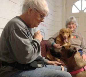 Two older women spending time indoors with two dogs, including a large brown dog in the foreground and a smaller golden dog.