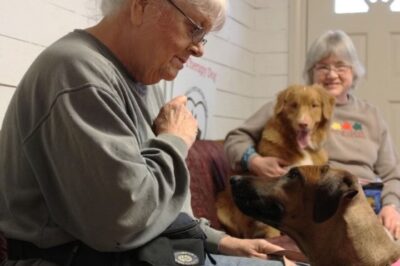 Who Cares for Your Parent’s Pet in Assisted Living? Pet Care, Walkers & Backup Plan