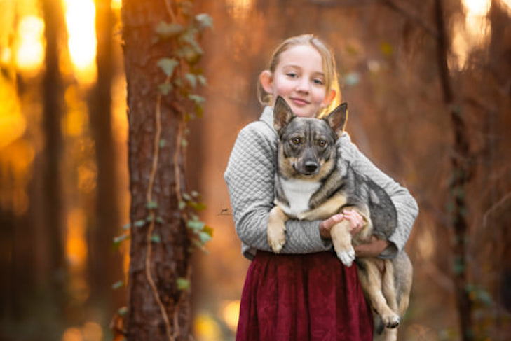 swedish vallhund with Children under 12 & Other Pets